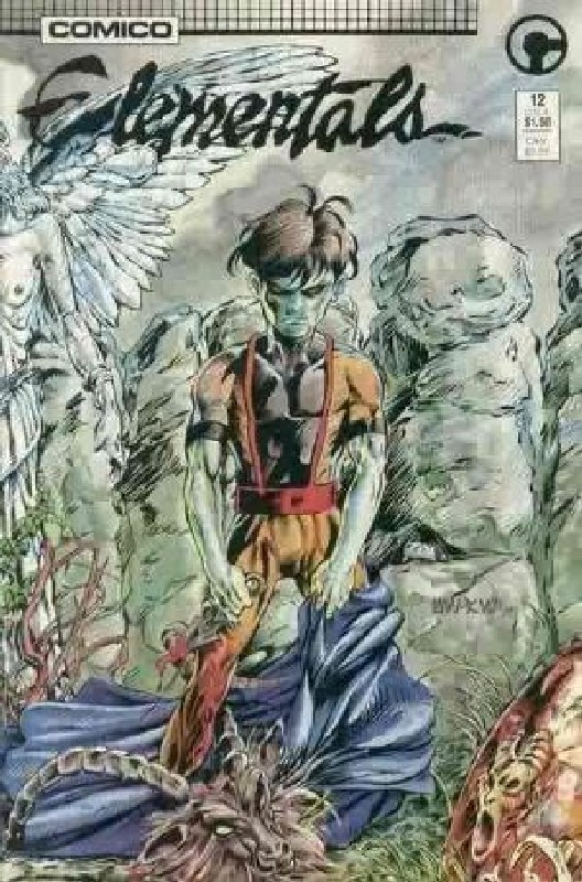 Cover of Elementals (Vol 1) #12. One of 250,000 Vintage American Comics on sale from Krypton!